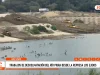 Piura: Siete máquinas realizan descolmatación del río ante posible fenómeno El Niño