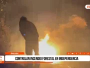 Áncash: controlan incendio forestal en Independencia