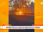 Cajamarca: incendios forestales afectan más de 400 hectáreas