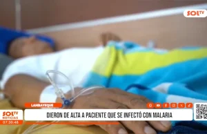 Chiclayo: dieron de alta a paciente que se infectó con malaria