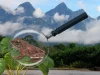 San Martín: hallan nueva especie de rana amazónica