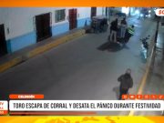 Cajamarca: toro escapa de corral y desata el pánico durante festividad