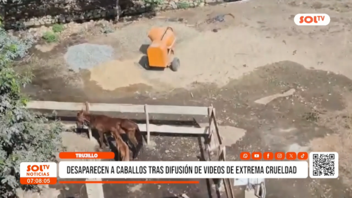 Trujillo: caballos en extrema desnutrición desaparecieron tras denuncia