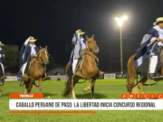 Trujillo: caballo peruano de paso: La Libertad inicia concurso regional