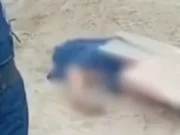 Piura: hallan cadáver de hombre cerca de la orilla del río Piura