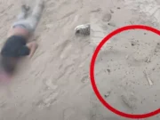 Virú: hallan sin vida a hombre tras ataque a balazos en Santa Elena