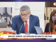 «No se debe apoyar la censura del ministro del Interior; ser oposición no significa obstruir, hay que dejar trabajar al Ejecutivo»: Marleny Arminta, diputada por Ahora Nación
