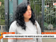 Trujillo: Animalistas preocupadas por muerte de gatos en Jardín Botánico