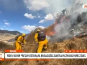 Áncash: piden mayor presupuesto para brigadistas contra incendios forestales