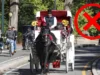 Nueva York: carruajes de Central Park desaparecerán en 2028