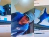 Trujillo: sujeto intenta robar televisor empotrado y termina llevándose una silla