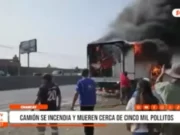 Incendio de camión cargado con pollitos deja miles de aves muertas en Chancay