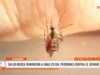 Cajamarca: Salud busca inmunizar a unas 20 mil personas contra el dengue